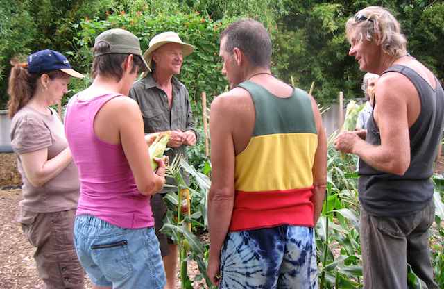 Neal standing in a lush garden consulting with clients.